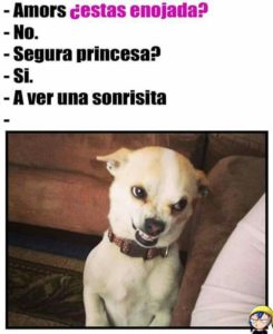imagenes de risa 1