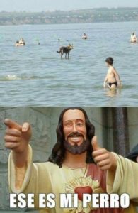 imagenes graciosas 11