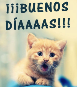 imagen de buenos dias 12