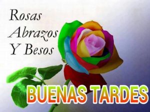 imagenes de buenas tardes 13