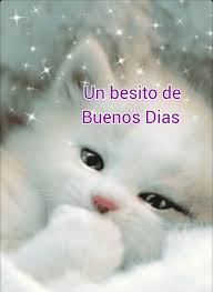 imagen de buenos dias 14