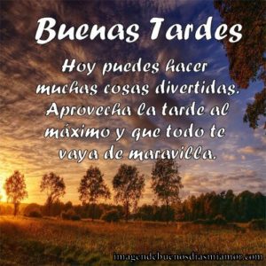 imagenes de buenas tardes 14