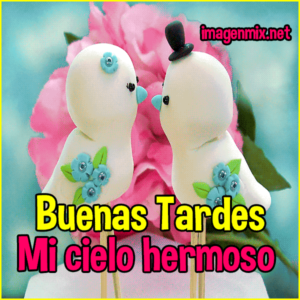 imagenes de buenas tardes 15