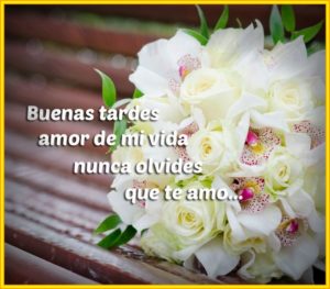 imagenes de buenas tardes 18