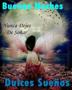 imagen de buenas noches 28