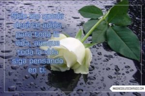 imagenes de desamor 3