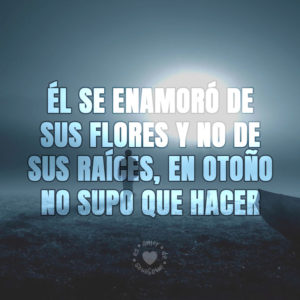 imagenes de desamor 6