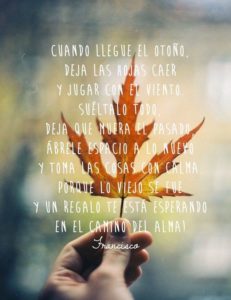 frases celebres 6