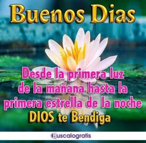imagen de buenos dias 7