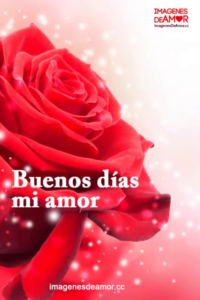 imagen de buenos dias 8