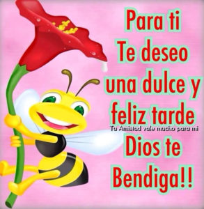 imagenes de buenas tardes 8