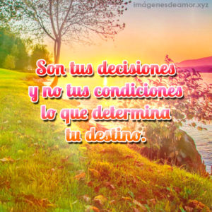 Bonito paisaje con frase bonita