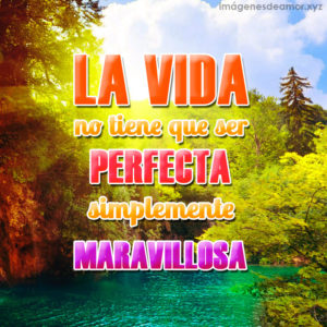 Lindo paisaje con frase